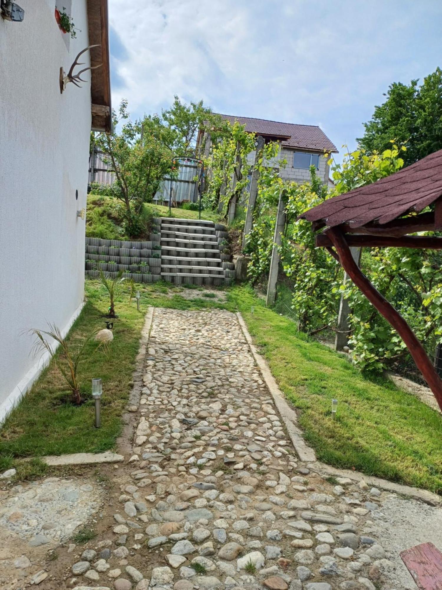 Cazare La Luiza B Sura Mare Exterior photo